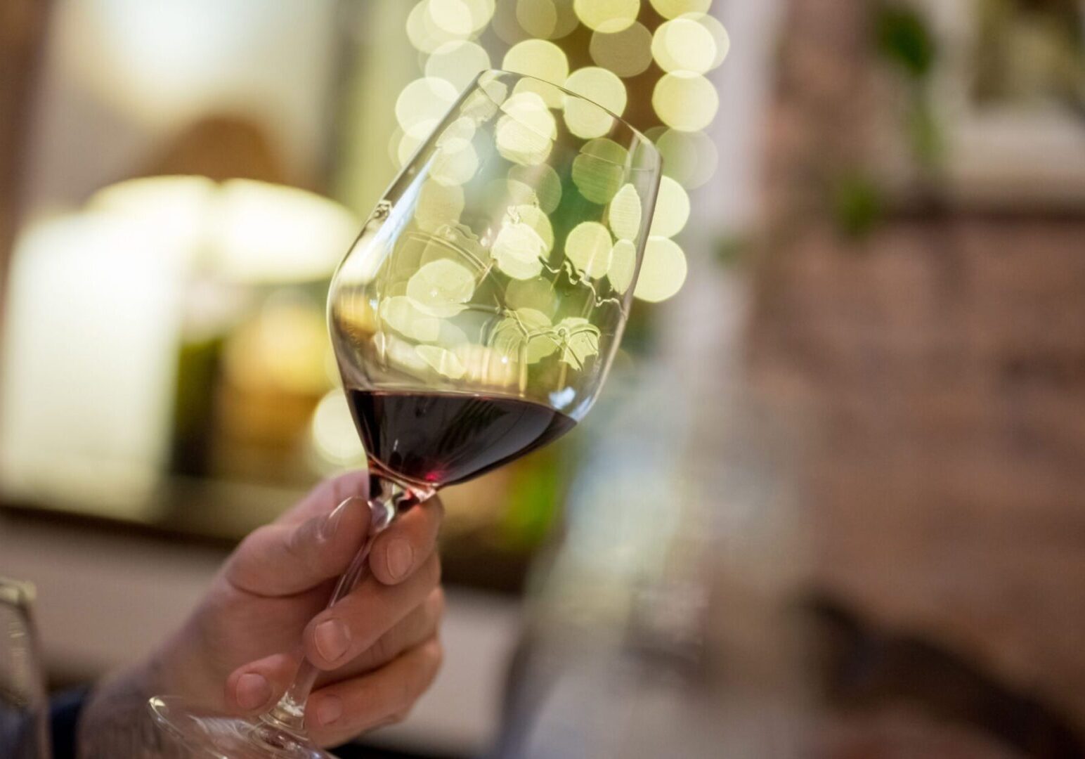 Elegant wine tasting experience